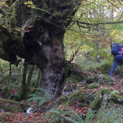 21-10-30 Montañas de Redes